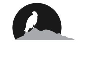 Plain Wings Tours and Safaris