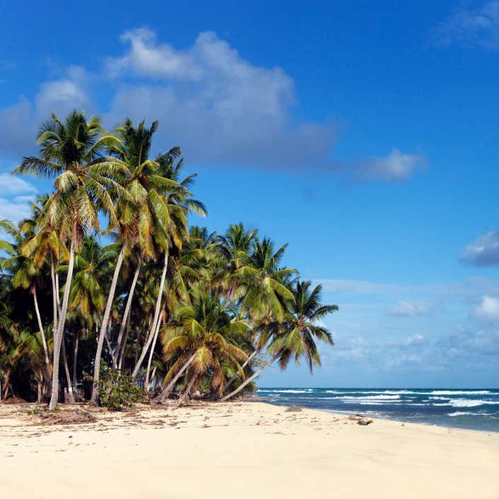 Plain Wings Tours and Safaris