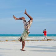 Plain Wings Tours and Safaris