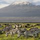 2 DAYS AMBOSELI NATIONAL PARK SAFARI